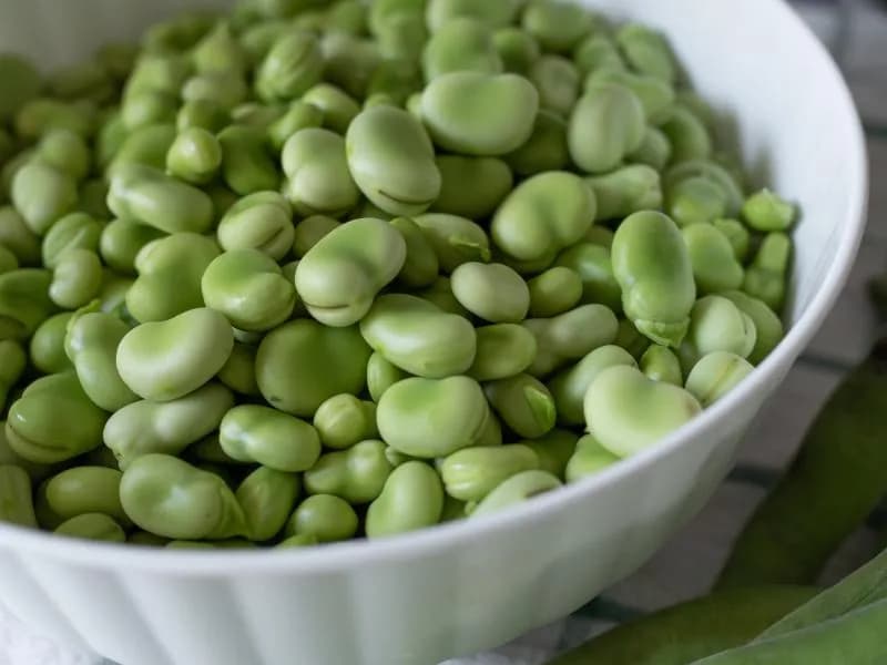 Czy bób jest tuczący? Fakty o kaloriach i właściwościach zdrowotnych