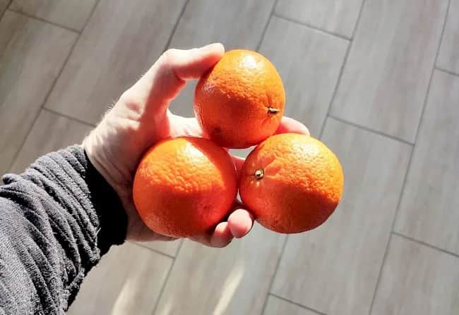 Czy mandarynka tuczy? Prawda o kaloryczności i wpływie na odchudzanie