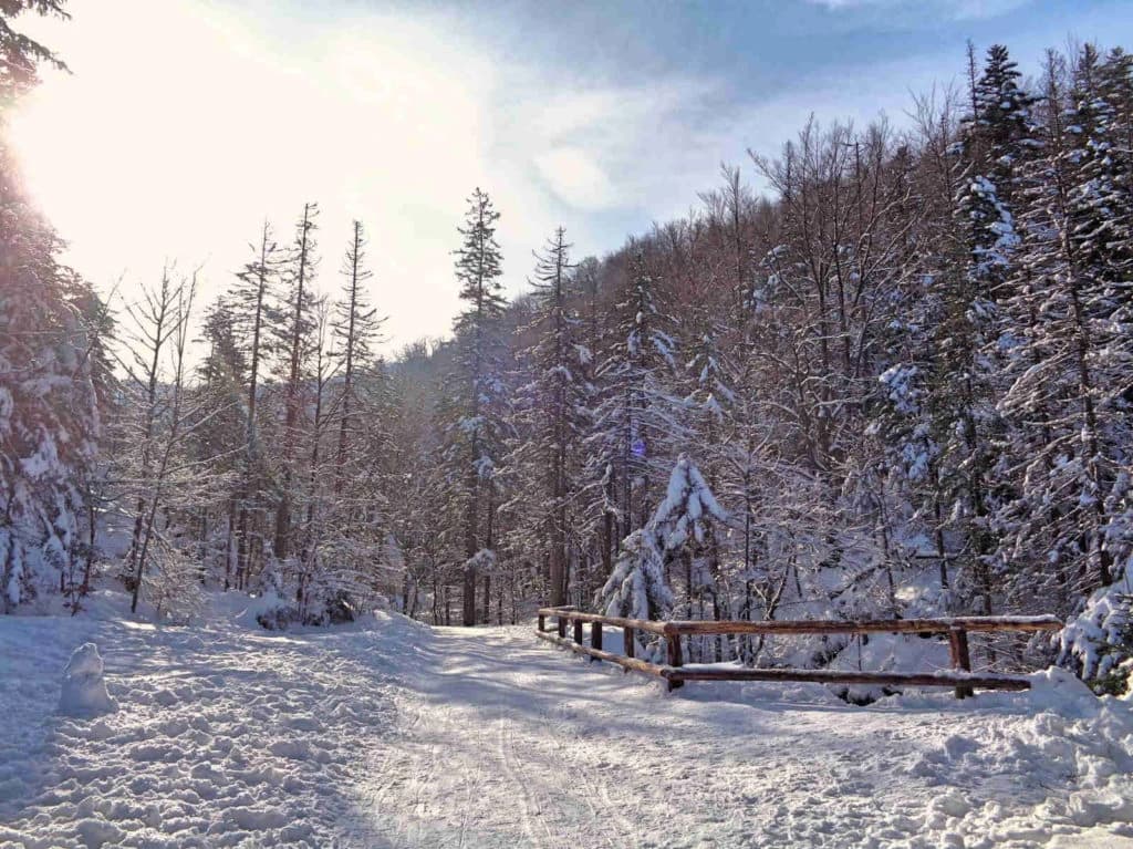 Bezpieczna Droga pod Rysy zimą: Poradnik - Droga pod reglami zima