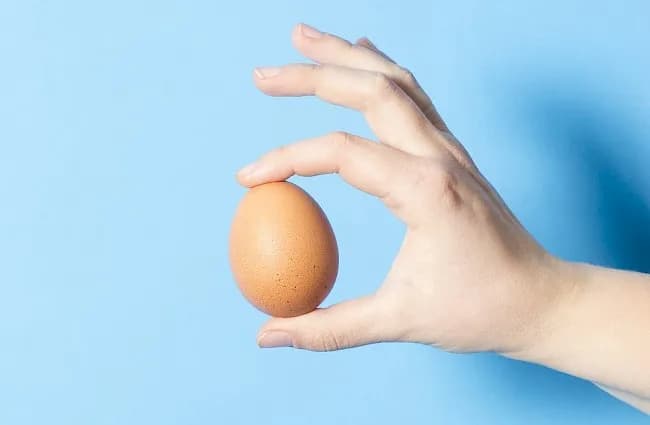 Ile kcal ma jajko: Wszystko o kaloryczności jajek na każdy sposób