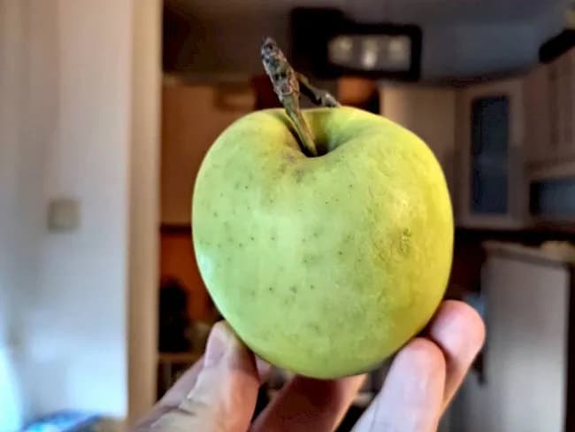 Ile kalorii ma jabłko? Zaskakujące wartości odżywcze i zdrowotne.