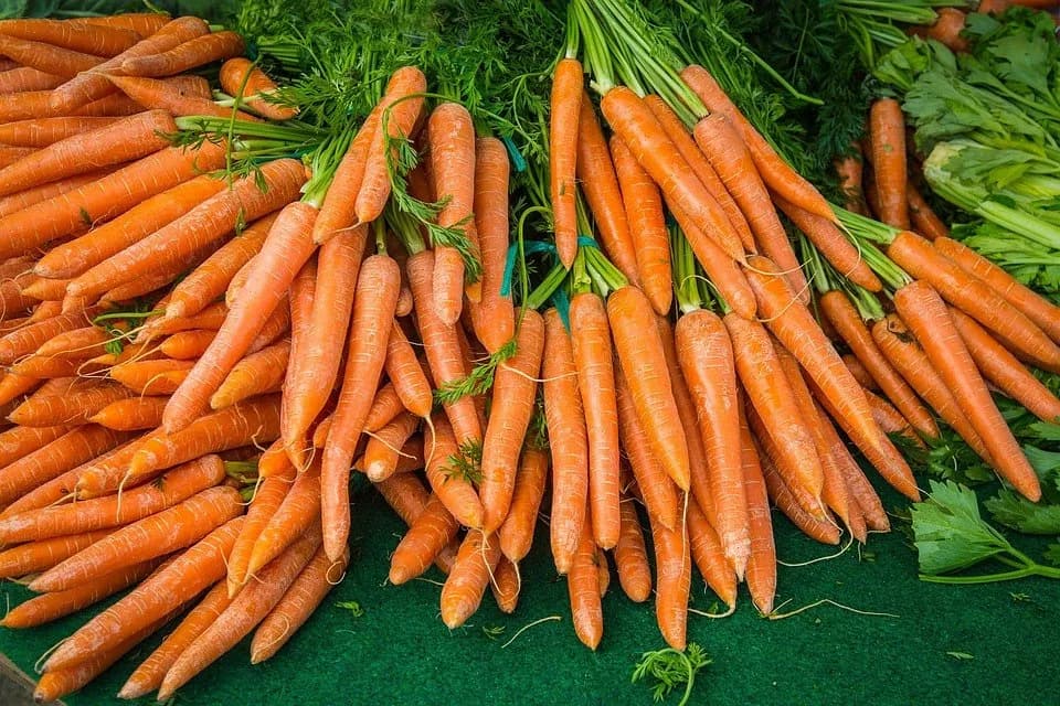 Ile kcal ma marchewka: Pełna wartość kaloryczna i wpływ na dietę